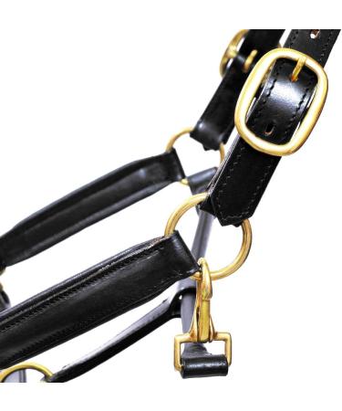 Aces Equine LEATHER HORSE HEADCOLLAR HALTER FULLY RAISED AND PADDED BLACK COLOR BRASS FITTING COB - Buy Online on GoSupps.com