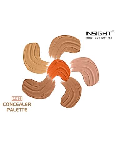 Insight Cosmetics Pro Concealer Palette - 15gm | Full Coverage Concealer Palette - Buy Online on GoSupps.com