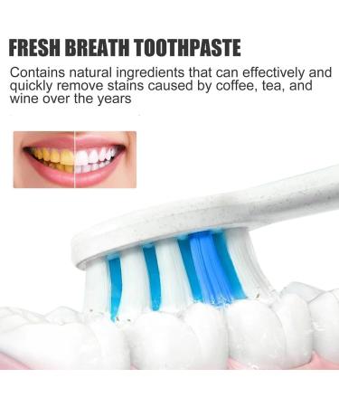 Artisan Fluoride-Free Toothpaste for Gum Protection Caries Relief and Fresh Breath - Probiotic Whitening Formula (1 PC) - Buy Online on GoSupps.com