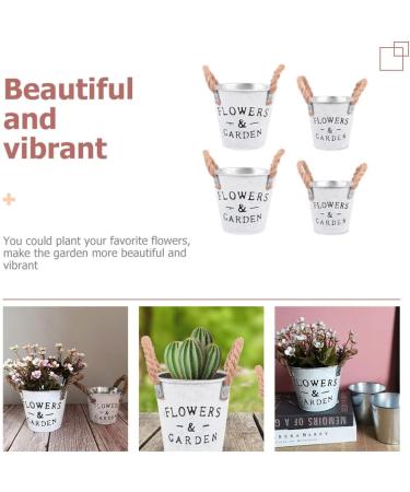Homoyoyo 8 Pcs Tin Bucket Metal Flower Bucket The Office Desk Decor Galvanized Metal Vase French Country Pitcher Desk Waste Basket Metal Tin Plating Iron Flower Arrangement 13X12cmx2pcs Assorted Colorx2pcs - Buy Online on GoSupps.com