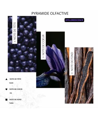 Premium Hair Oil - Made in France | Argan Moringa Macadamia Coconut & Castor | Nourishing & Non-Greasy | 3.38 FL.OZ - Suitable for All Hair Types - Buy Online on GoSupps.com