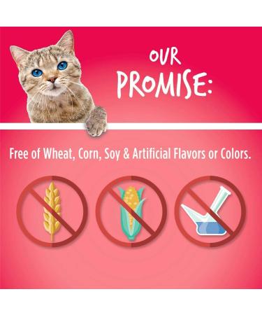 Fruitables Crunchy Cat Treats - Healthy Limited Ingredient Low Calorie Salmon & Cranberry - 2.5oz Pack - Buy Online on GoSupps.com