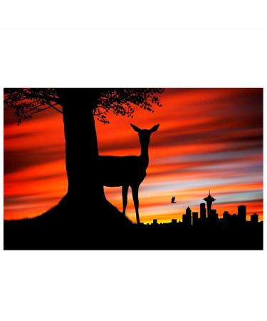 Natural Curly Dark Brown Real Hair Ball Head Wig - 12cm Half Ball Hair Ring for Women - Buy Online on GoSupps.com