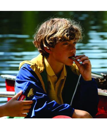  Loacker Loacker Wafer Cocoa and Chocolate Waffles 175 g Pack of 12 - Buy Online on GoSupps.com