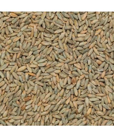 Wholefood Earth Organic Rye Grain 1kg | GMO Free | Vegan | High Fibre | Certified Organic - Buy Online on GoSupps.com