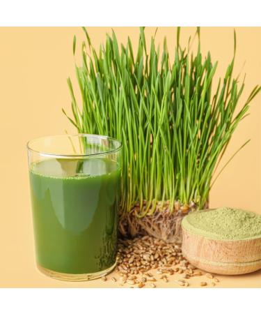 Organic Wheat Grass Powder 250g | 100% Natural & Pure | Vegan Ground Wheat Grass from Organic Cultivation - Buy Online on GoSupps.com