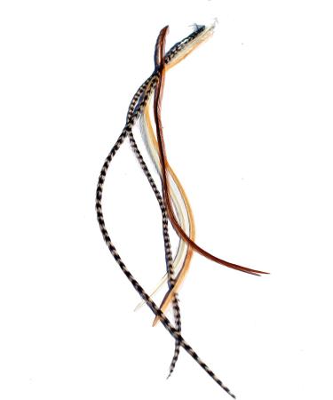 Real Feather Hair Extensions - One Fine Day Feathers (Pack of 5) - Buy Online on GoSupps.com
