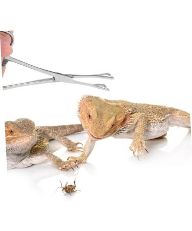 SEWOART Reptile Feeding Clip Lizard Stuff Reptile Tools Gecko Tool Stainless Steel Silver - Buy Online on GoSupps.com