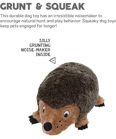 Outward Hound Hedgehogz Plush Dog Toy - Medium Size - Buy Online on GoSupps.com