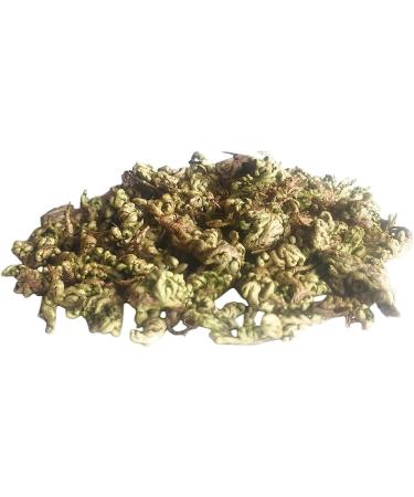 NN LAXMANA BOOTI (Selaginella bryopteris) SANJIVANI BOOTI SANJEEVANI BUTI SANJIVNI BOOTI LAKSHMANA BUTI SANJEEVNI BOOTI (100 GM)