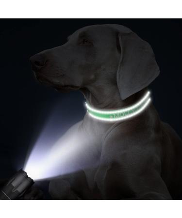 Tagme Personalized Dog Collar for Small Dogs - Embroidered Reflective Nylon with Pet Name & Phone Number - Green (1 Pack) - Buy Online on GoSupps.com