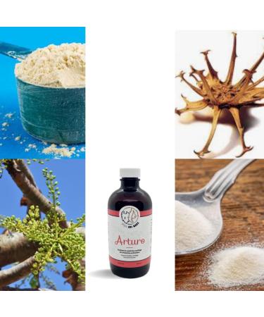 Phyto Ani-Maux Arturo (500 ML) - Natural Herbal Medicine Product (Cats and Dogs) Good Joint Health. - Buy Online on GoSupps.com