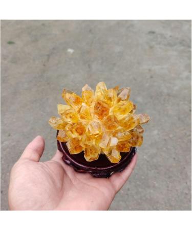 Natural Crystal Rough Raw Citrine Natural Quartz Stone Crystal Cluster Yellow Specimen Home Decoration Decoration (Color : A Yellow Size : 200-300g) 200-300g A Yellow - Buy Online on GoSupps.com