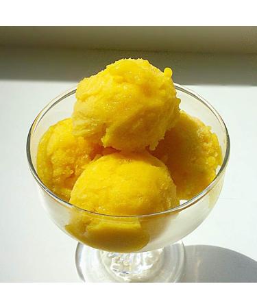 COMPRITAL 1.25 kg of Ice Cream or Sorbet with Tropical Sol ade flavor Ready product for Artisanal cooler - Buy Online on GoSupps.com