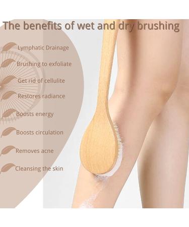 Dry Brushing Body Brush for Smooth Skin & Cellulite Reduction - Long Handle Shower Back Brush with Natural Bristles for Skin Massage & Circulation Boost - Buy Online on GoSupps.com