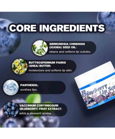 2PCS Lips Scrub Fruit Flavor Blueberry Lip Scrub Moisturizing Nourishing Exfoliating Dead Skin - Buy Online on GoSupps.com