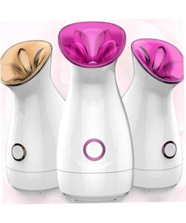 Healeved 2pcs Facial Care Steamer Handy Mist Face Steamer Sprayer Facial Spa Steamer Facial Steamer - Buy Online on GoSupps.com