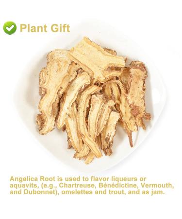 Buy Organic Angelica Root 70g - Dried Cut Root & Tea | Premium Archangelica Officinalis for Herbal Remedies - International Shipping - Buy Online on GoSupps.com