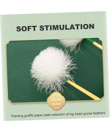 Healeved 8pcs Portable Ear Wax Cleaners Non-Slip Ear Accessory for Cleaning and Daily Family Use Smooth Surface for Safe Application - Buy Online on GoSupps.com