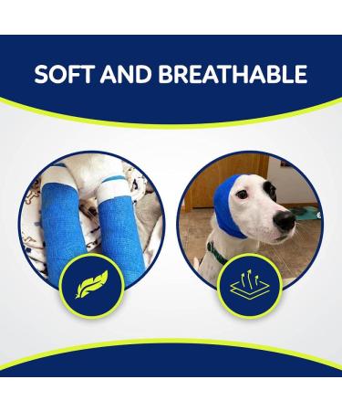WePet 2 Vet Wrap 12 Rolls- Cohesive Bandage for Pets- Self-Adherent Gauze Tape- First Aid for Dogs, Horses, Birds- 2 Inch, Pack of 12 Rolls, 6 Solid Colors - Buy Online on GoSupps.com