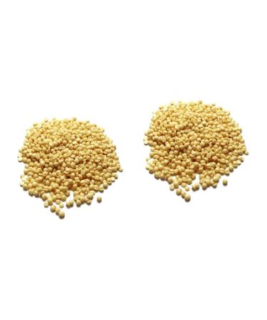 Minkissy 2-in-1 Face Hair Wax Beans & Nail File - Hard Wax Pearls for Smooth Hair Removal & Easy Depilation - Durable Metal & Silicone Ear Covers - Buy Online on GoSupps.com