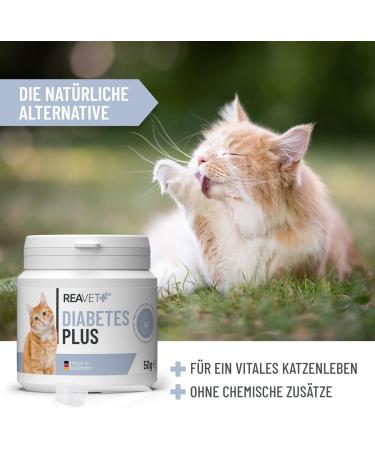 Reavet Diabetes Plus for Cats 50g - Best Nutritional Supplement for Diabetic Cats | Effective Diabetes Diet - Buy Online on GoSupps.com
