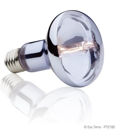 Exo Terra Halogen Basking Spot 75W - Broad Spectrum Daylight Lamp E27 Socket - 1 Pack for Reptiles & Amphibians - Buy Online on GoSupps.com