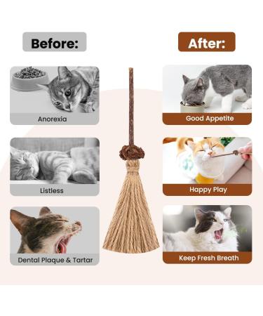 Aucenix Cat Chew Toy Silvercine Sticks for Indoor Cats Natural Matatabi Cat Teeth Cleaning Toy Kitten Teething Chew Stick for Kitty Pets Exercise Playing Chewing (2 Brooms) - Buy Online on GoSupps.com