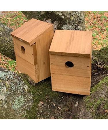 Wooden Multi-Hole Wild Bird Classic Nest Box Birdhouse (Pack of 2) - Buy Online on GoSupps.com