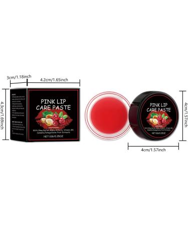 Winter Lip Balm - Natural Plant Extracts 10g Moisturizing Balm for Dry Lips for Women | for Wife Girlfriend Friends Sisters Dates Travel Gatherings Outings - Buy Online on GoSupps.com