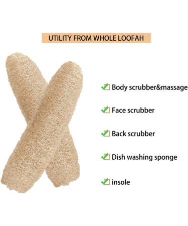 Natural Loofah Bath Sponge | Exfoliating Shower & Back Scrubber for Spa-like Body Care - Buy Online on GoSupps.com
