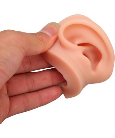 Silicone Ear Model Soft Silicone Nose Model Silicone Body Parts for Piercing Practice Silicone Flexible Model Human Ear Model for Jewelry Display Teaching Instructions (#1) - Buy Online on GoSupps.com