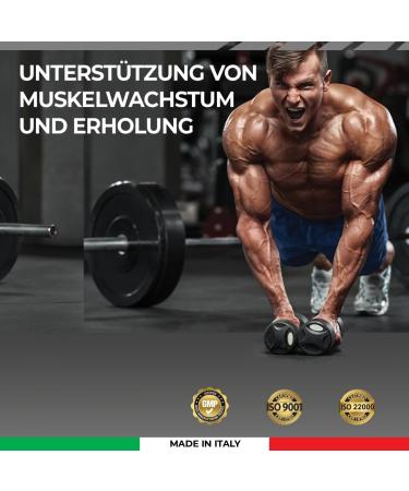 Buy Bandini Creatin Monohydrat Creapure | 300g Vegan Powder | 3000mg Creatine per Dose | Micronized Quality Post Workout Booster | Muscle Building | 88 Doses | International Shipping - Buy Online on GoSupps.com