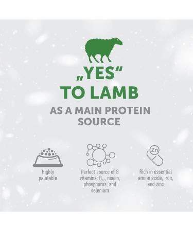 Buy Nature's Protection Superior Care Dry Dog Food - Hypoallergenic Lamb for Small & Mini Breeds - 1.5kg - Buy Online on GoSupps.com