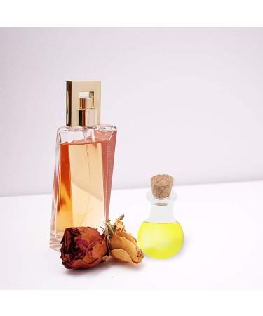 FOMIYES 10pcs Perfume Bottle Wish Bottles with Cork Mini Drift Bottle Small Wishing Bottle Cordyceps Glass - Buy Online on GoSupps.com