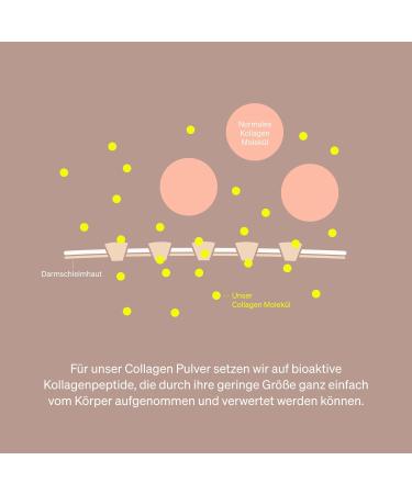 Collagen Powder 500g - Hydrolyzed Peptides Type 1 & 3 - Fresh Orange Flavor - Natural Lab-Tested Made in Germany - Buy Online on GoSupps.com