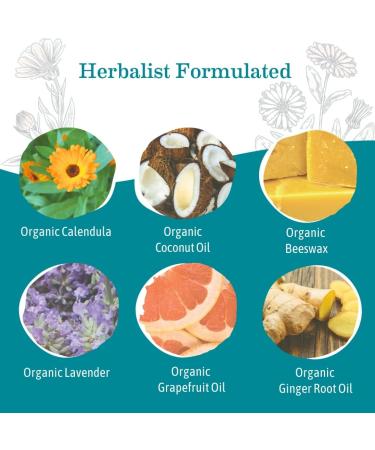 Earth Mama Mini Deodorant Travel Size Set | Aluminum Free Deodorant for Women | No Baking Soda | Natural Deodorant for Sensitive Skin | Safe for Pregnancy & Breastfeeding (4Pack) Assorted Scents 0.56 Ounce (Pack of 4) - Buy Online on GoSupps.com