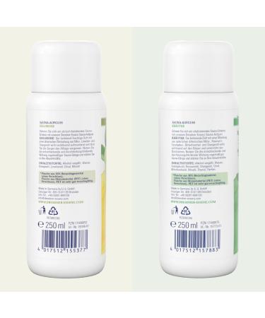 Dresden Essence Sauna Infusion Eislimone + Herbs - Fresh Lime & Mint Aroma Set (2 x 250 ml) | International Shipping Available - Buy Online on GoSupps.com