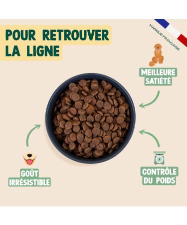 Franklin Sterilized Dog Food Balance Range with 50% Beef Grain-free kibble Size 13 mm 6 kg - Buy Online on GoSupps.com