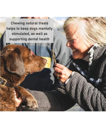 *New* Large Himalayan Cheese Yak Chews (Pack of 1) - 100% Natural Dental Dog Treat - Long Lasting Chew High Protein and Calcium (Weight 80-110g) Grain and Gluten Free - Buy Online on GoSupps.com