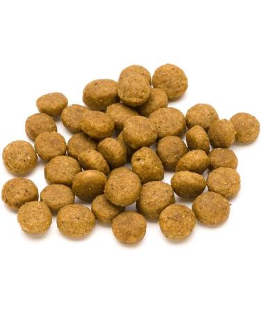 Amazon Brand - Lifelong - Complete Complete Dry Food for Adult Small Breed Dogs Rich in Chicken and Rice 1 x 3kg - Buy Online on GoSupps.com