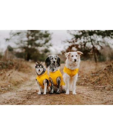 Shop Hunter Dog Raincoat in Milford Yellow - Size 50 | Best International Shipping - Buy Online on GoSupps.com
