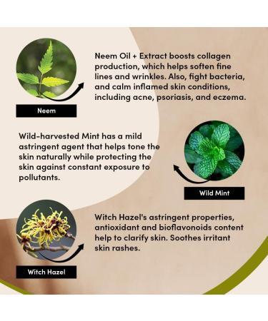 Urban Veda Purifying Face Wash | Clarifying & Detoxifying| Simple Face Wash for pimple and acne prone skin |Cooling & Refreshing Gentle Face Wash for Men & Women | For oily and combination skin|150 ML - Buy Online on GoSupps.com