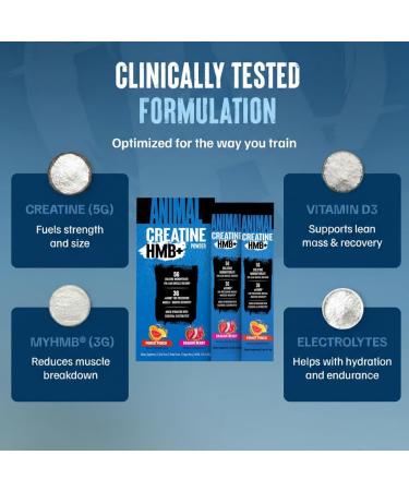 Animal Creatine HMB Powder 3g myHMB + 5g Creatine with Electrolytes for Recovery & Daily Energy Power Punch (3) and Dragon Berry (2) Stick Pack Samples 5 Servings - Buy Online on GoSupps.com