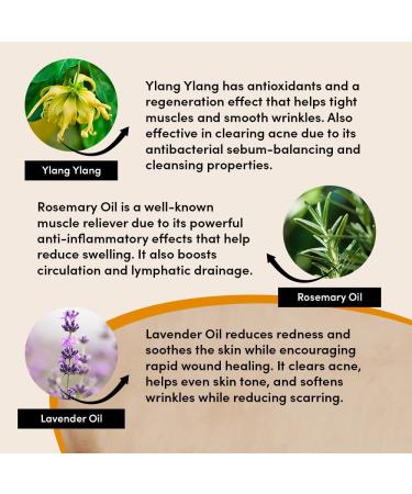 Urban Veda Clam & Restore Soothing Night Cream| Sandalwood & Aloe Vera | For Dry Sensitive and Inflamed Skin |Anti Aging| Collagen Face Cream | Moisturiser Face Women and Men | Vitamin C Glow | 50 ML - Buy Online on GoSupps.com