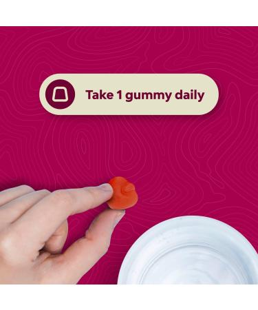 Apple Cider Vinegar Gummies with Mother - Natural Energy & Immune Support - 120ct Pack with Beet Root Powder - Body Cleanse & Gut Health Supplement - Buy Online on GoSupps.com