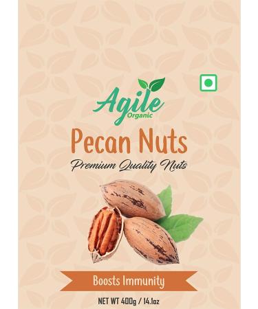 Agile Organic Premium Pecan Nuts 400g (Healthy Nuts)