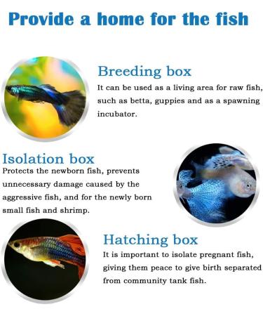 Fish Breeder Box - Aquarium Isolation Hatching Juvenile Incubator Net Hatchery - Buy Online on GoSupps.com