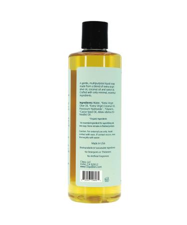 Claya Fir Needle Liquid Castile Soap Organic Ingredients Biodegradable Fresh Forest Scent Gentle for Skin and Multi-Purpose Use(2 Pack of 16 fl oz (Disc Cap)) - Buy Online on GoSupps.com