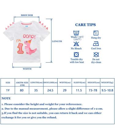 1st Birthday Girl Dinosaur Party T-Shirt | B-Day Themed Tee for Baby | Gift Idea | Size 80 White - Buy Online on GoSupps.com